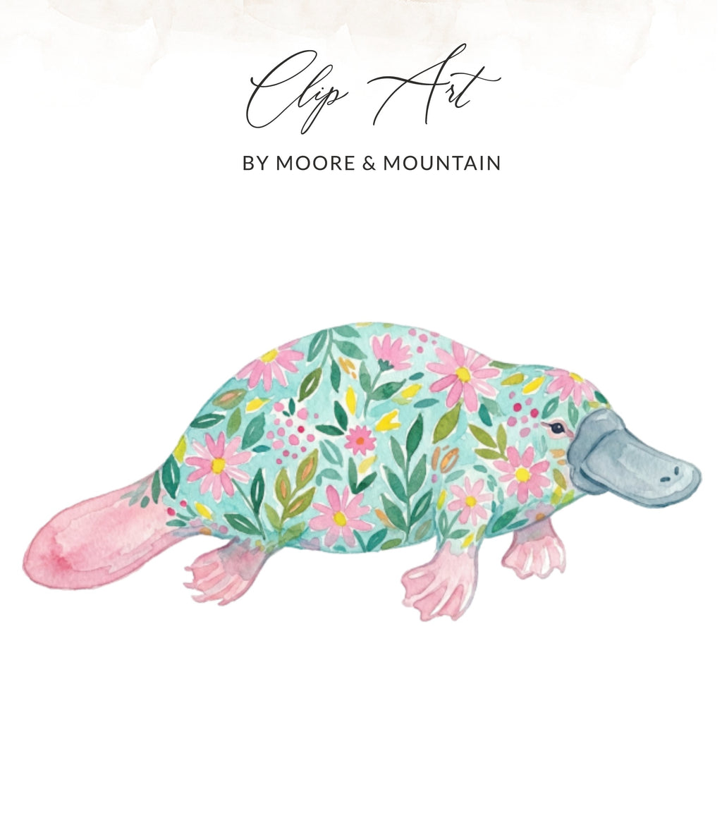 Watercolor platypus illustration with floral pattern on white background.