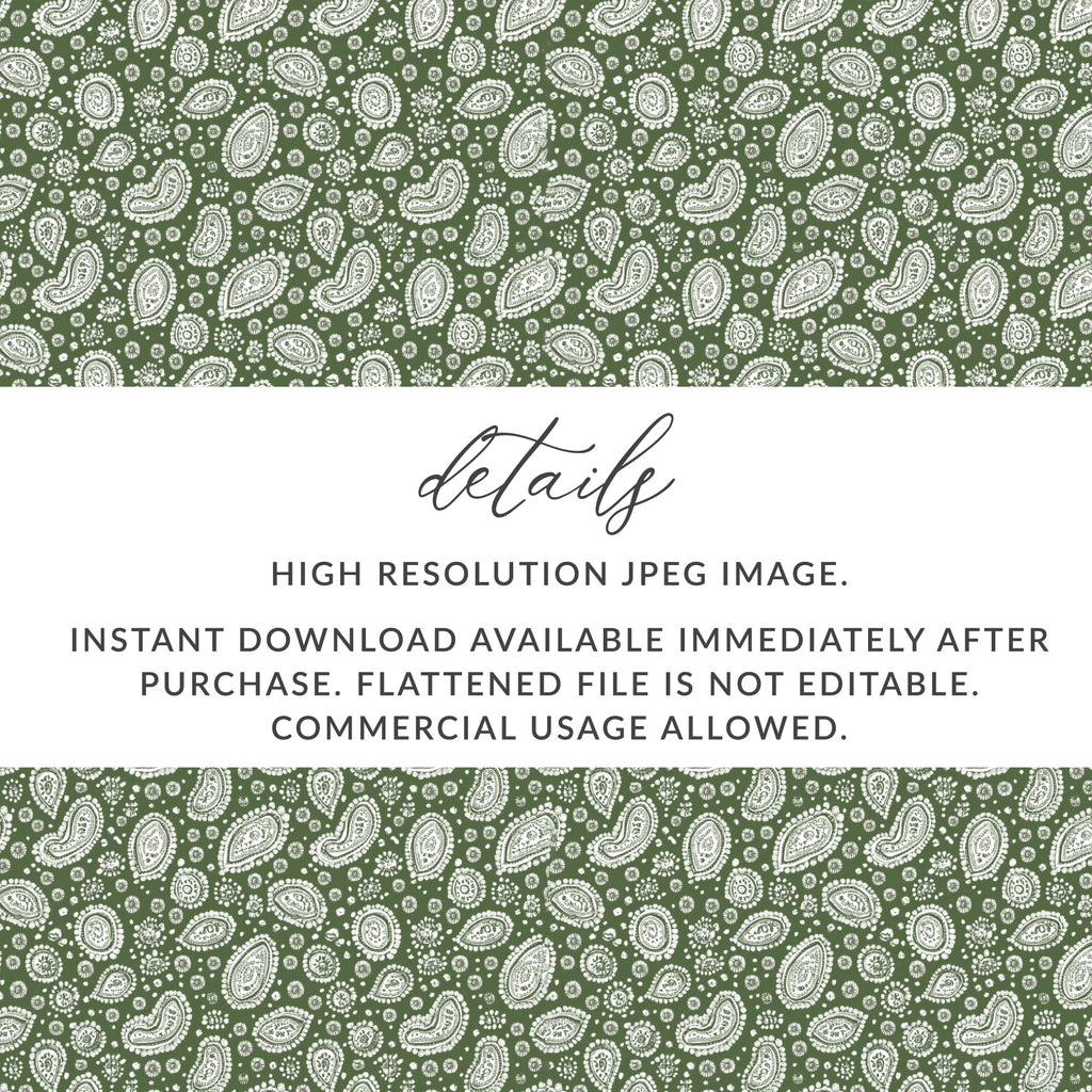 High Resolution Instant Download Paisley Pattern Image