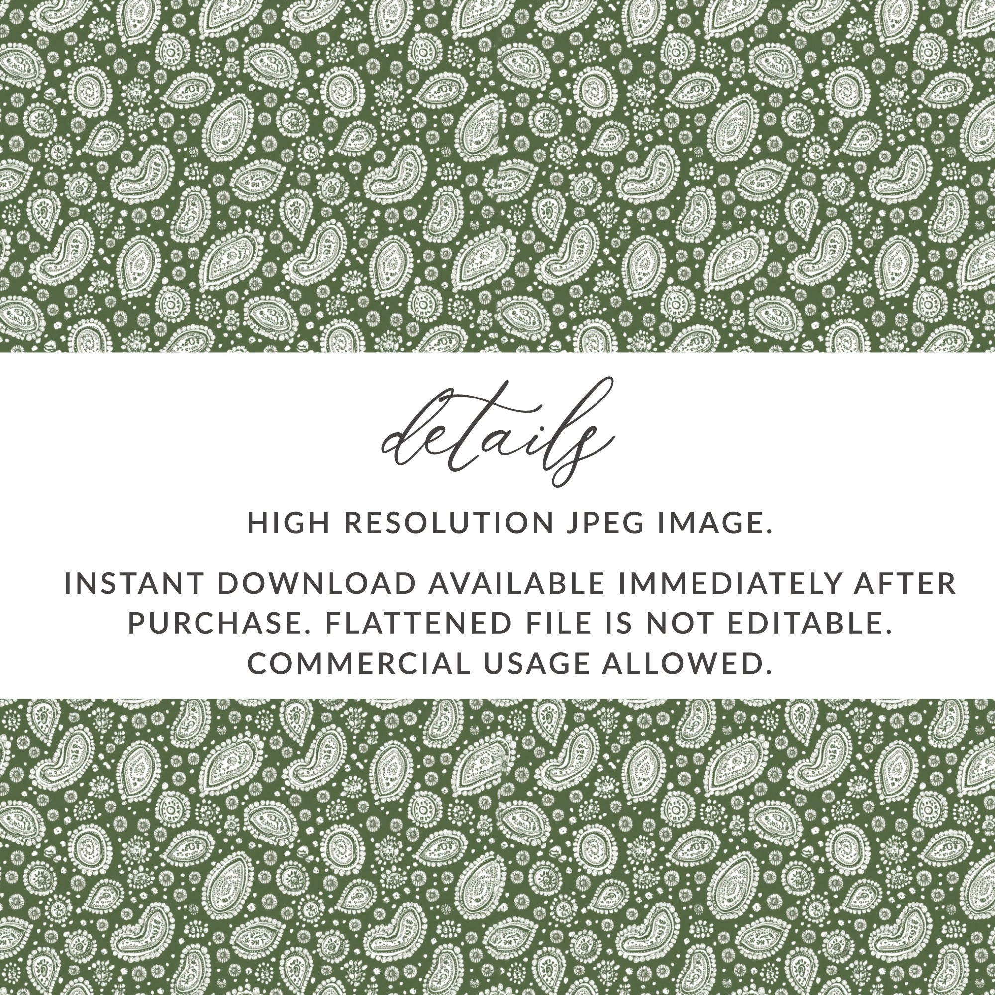 High Resolution Instant Download Paisley Pattern Image