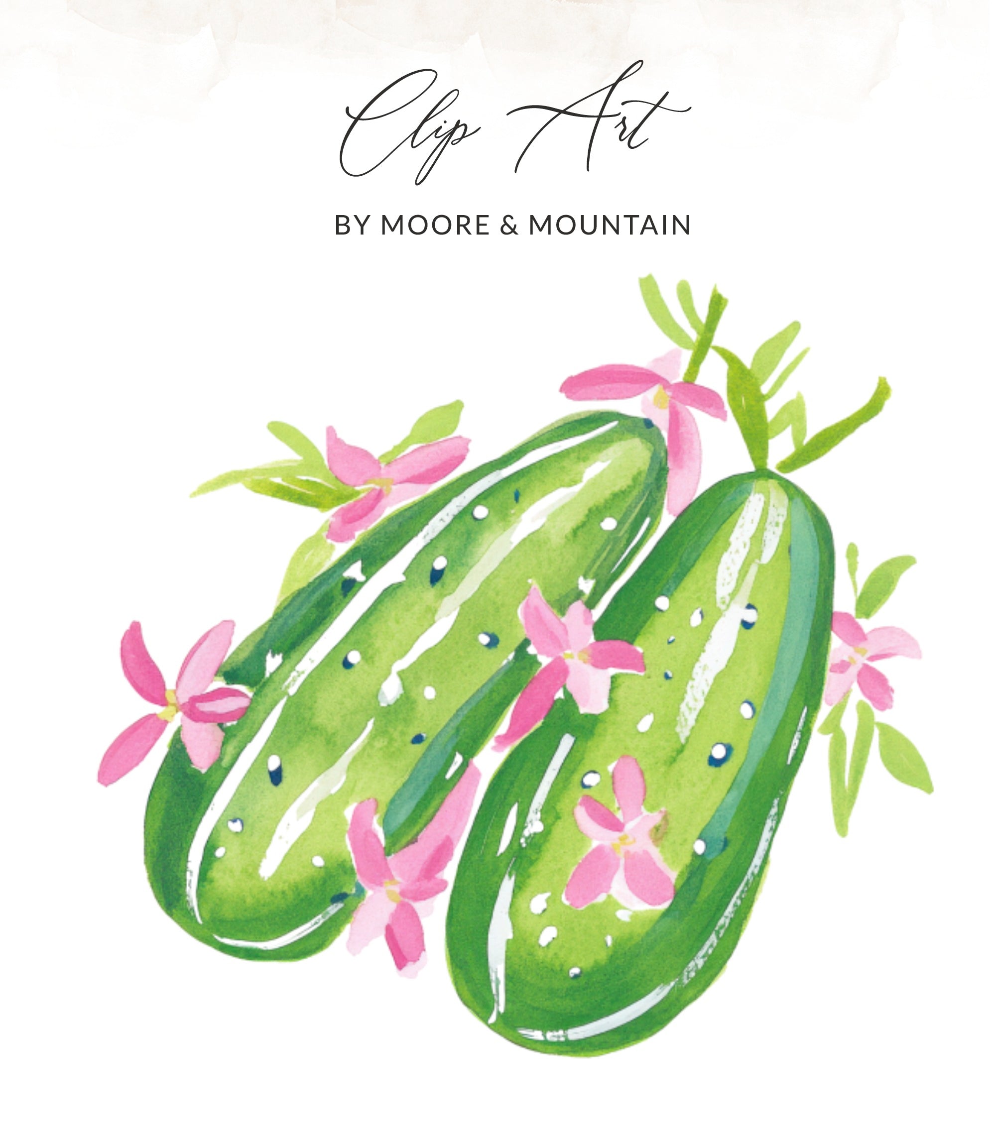 Watercolor clip art of two cucumbers with pink flowers.