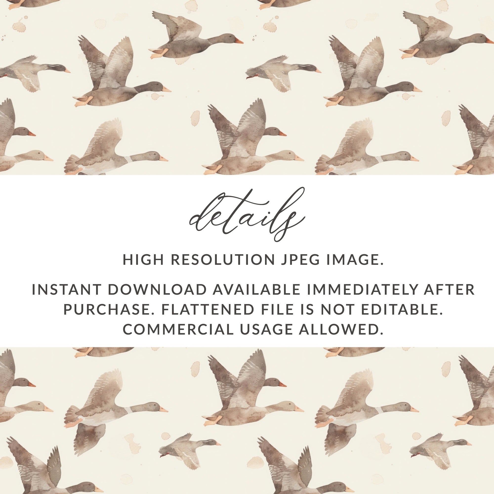 High Resolution JPEG Image of Flying Geese Digital Download