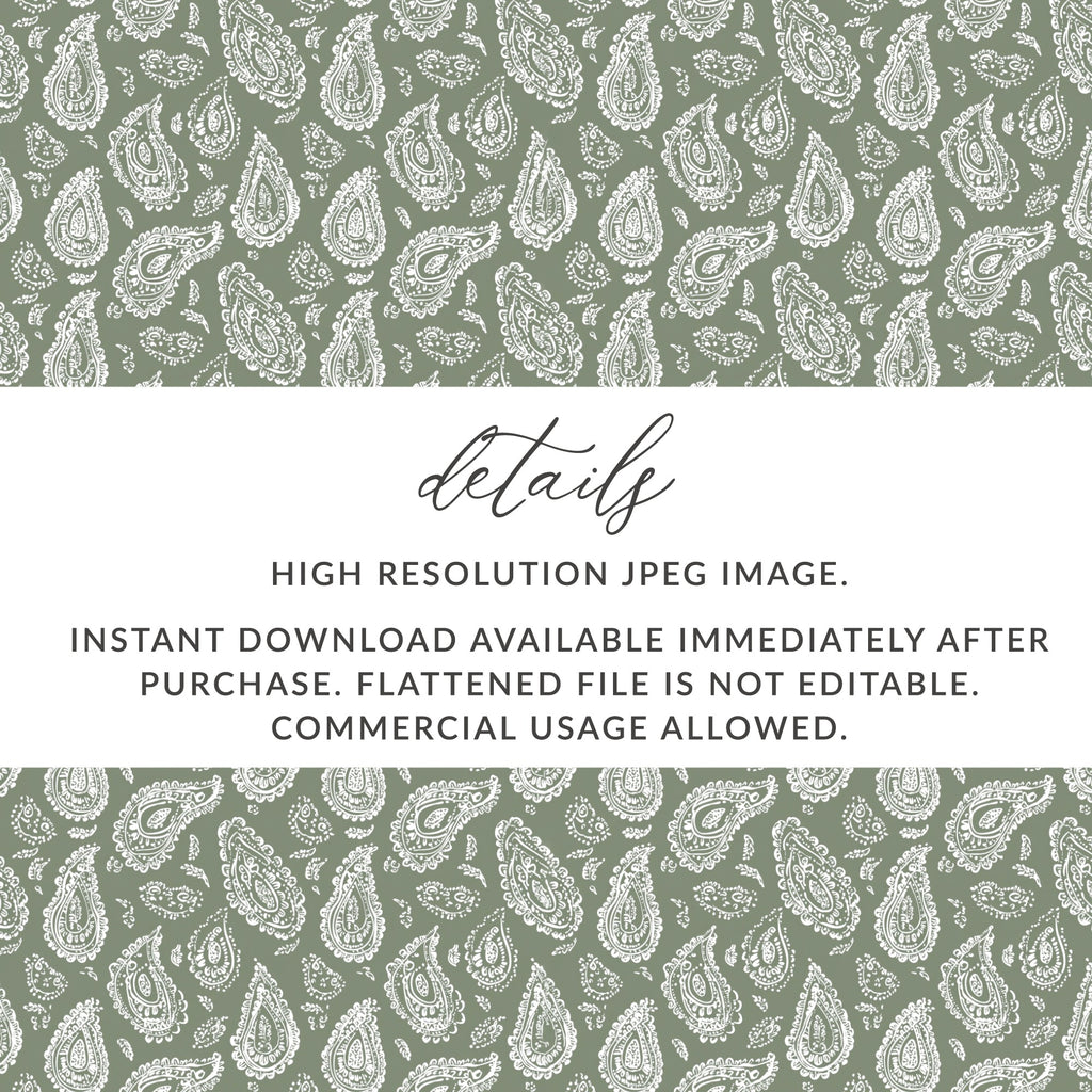 High Resolution Paisley Digital Image Download