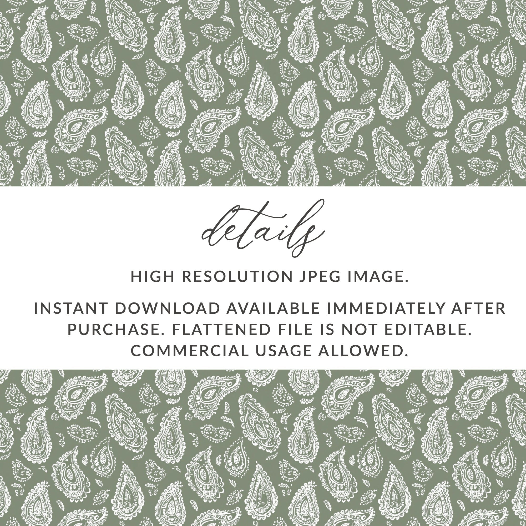 High Resolution Paisley Digital Image Download