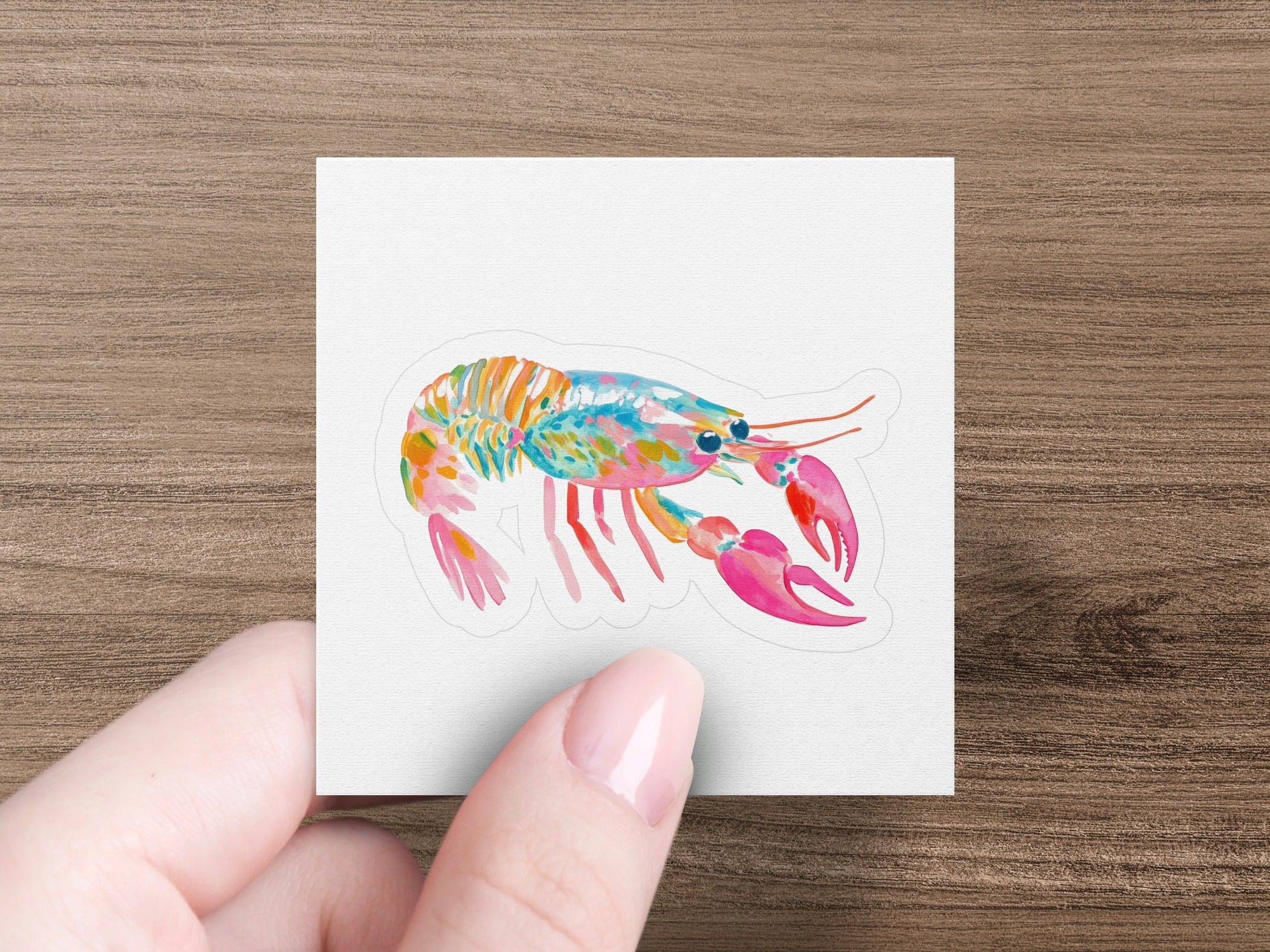 Colorful watercolor lobster illustration on white sticker held by hand.
