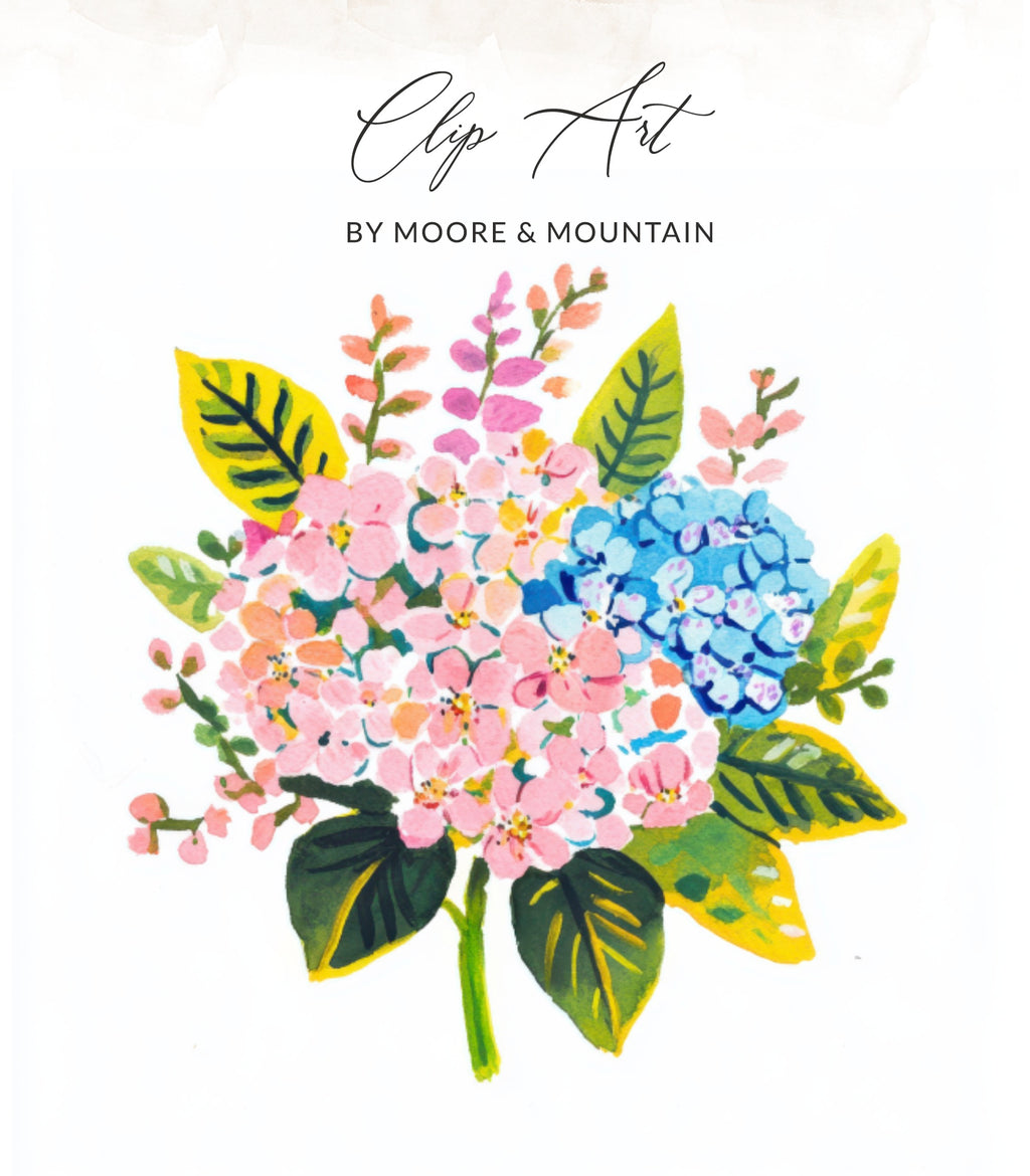 Pink and blue hydrangeas with green leaves and text "Clip Art BY MOORE & MOUNTAIN".