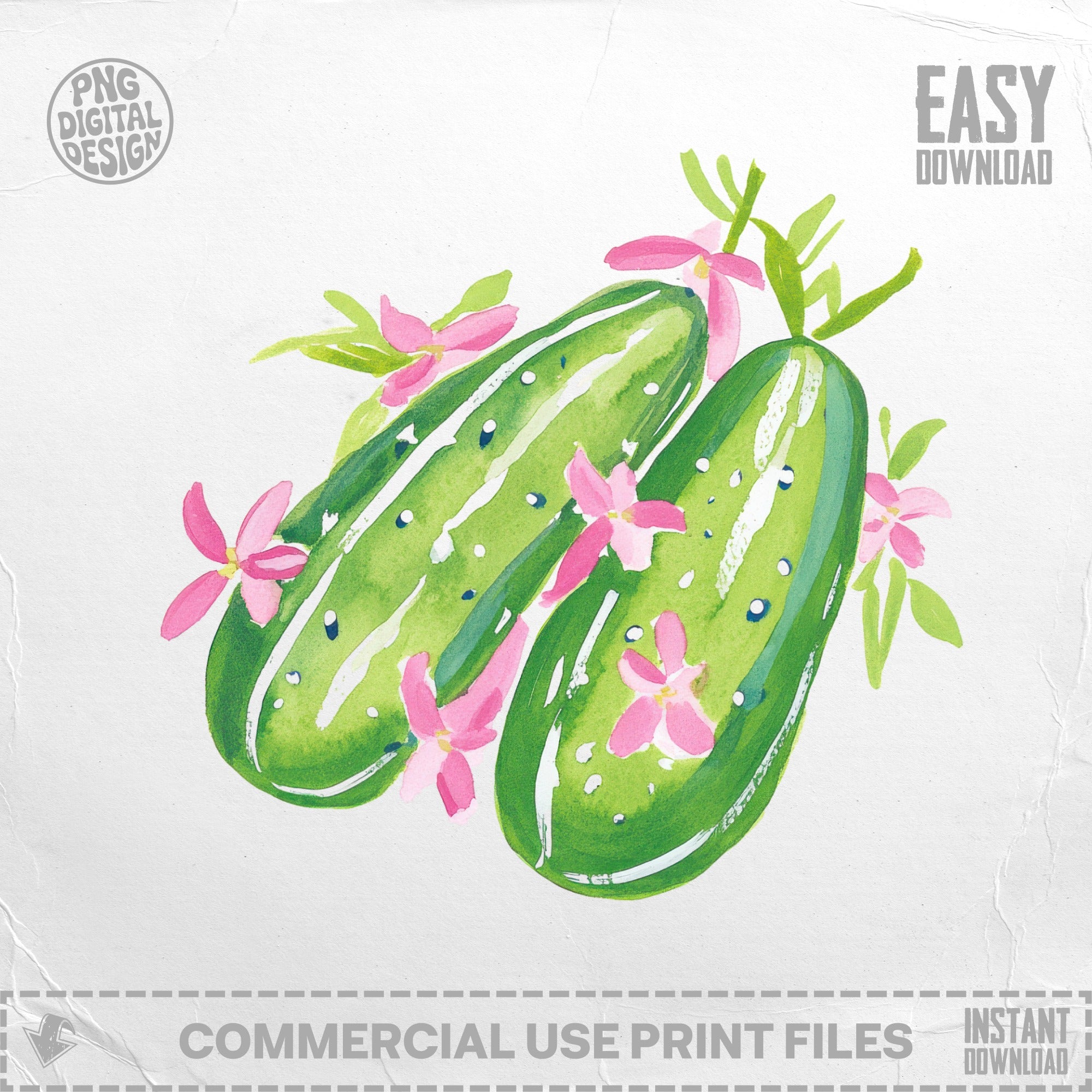 Watercolor illustration of two cucumbers with pink flowers.