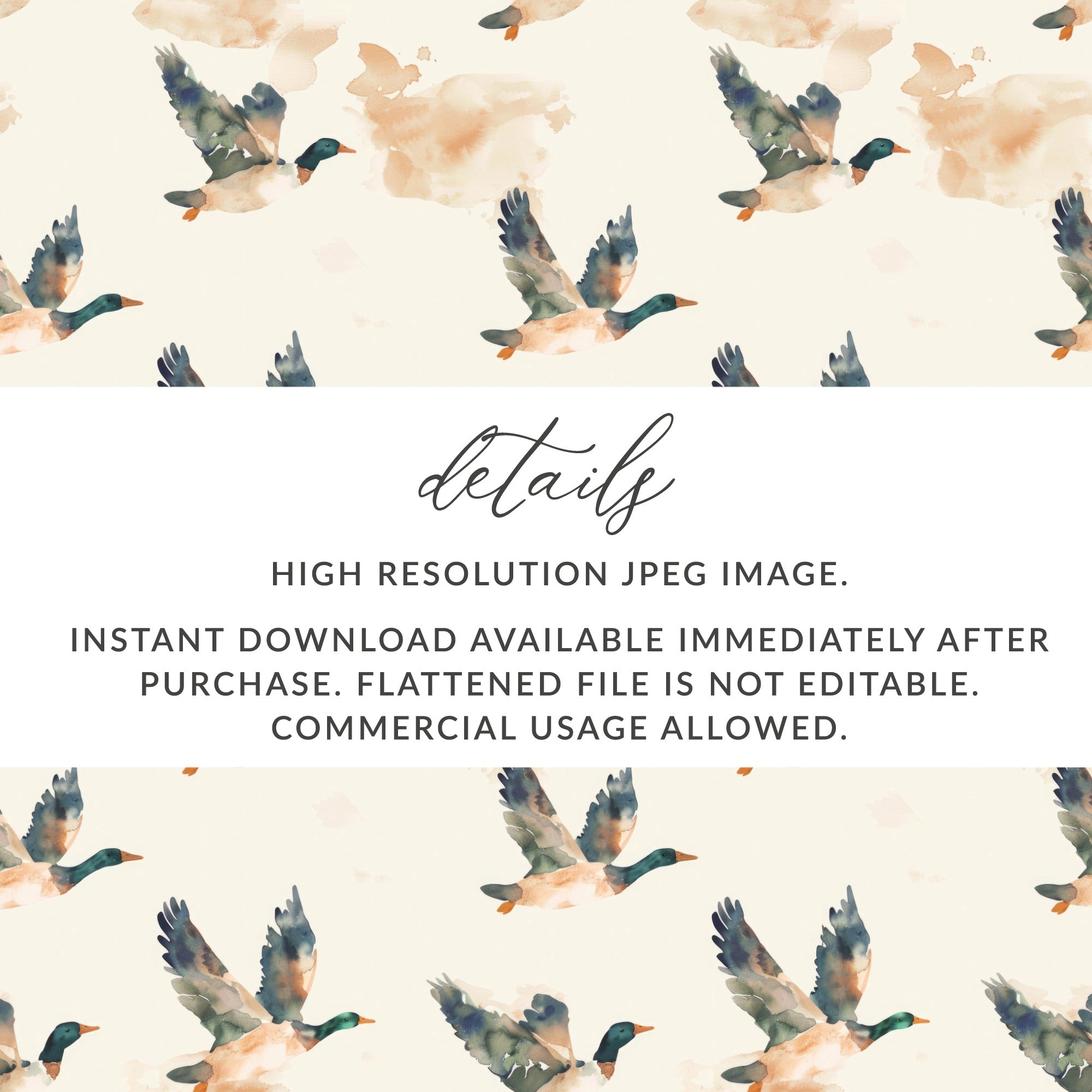 Instant Download Flying Ducks High Resolution JPEG Image