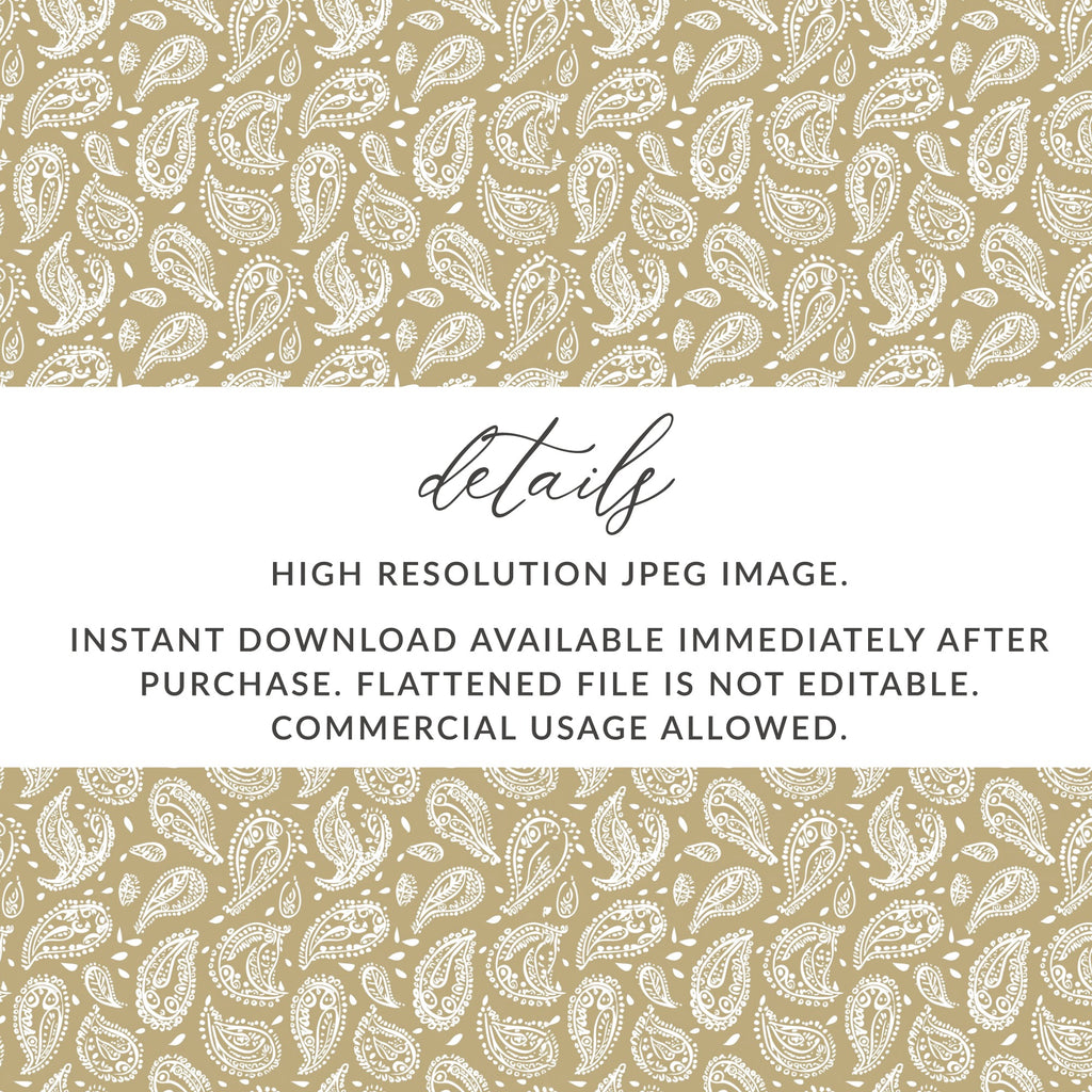 High Resolution Paisley Pattern Digital Download