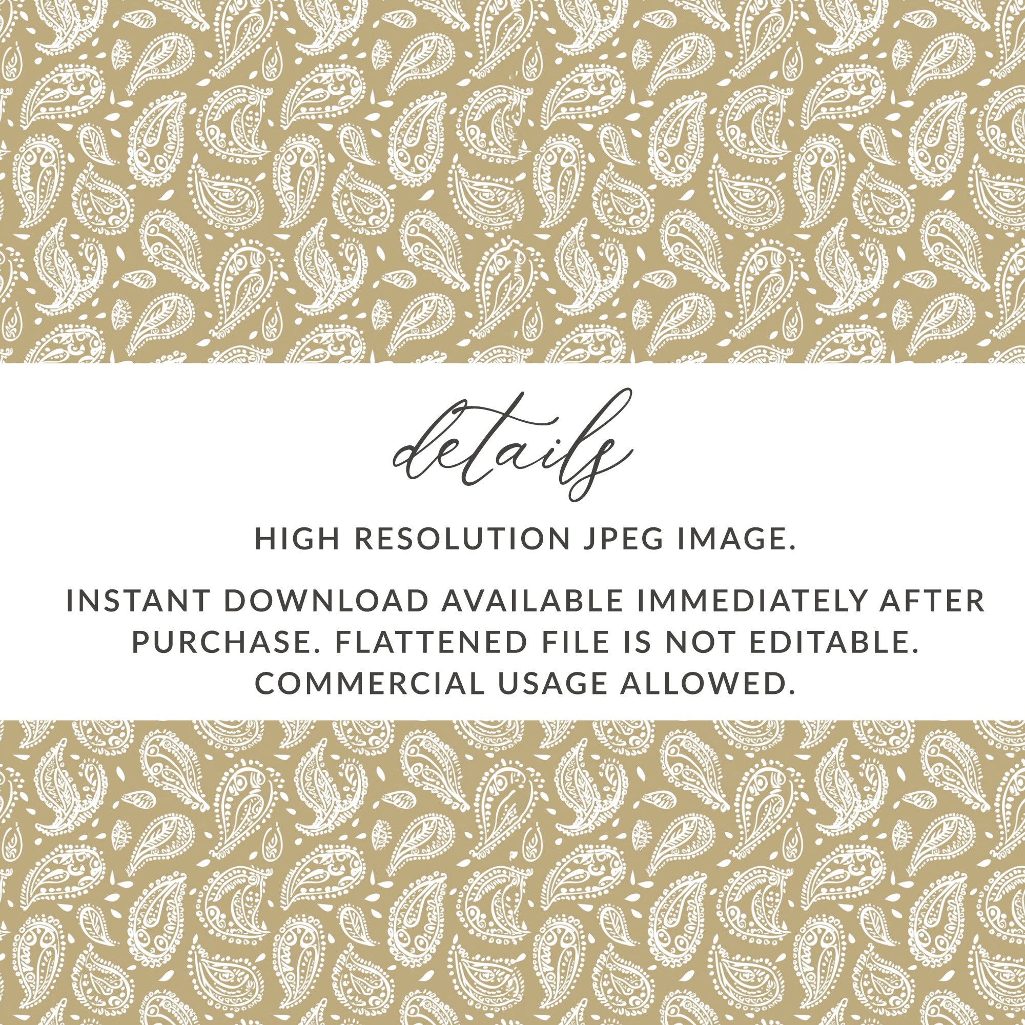 High Resolution Paisley Pattern Digital Download