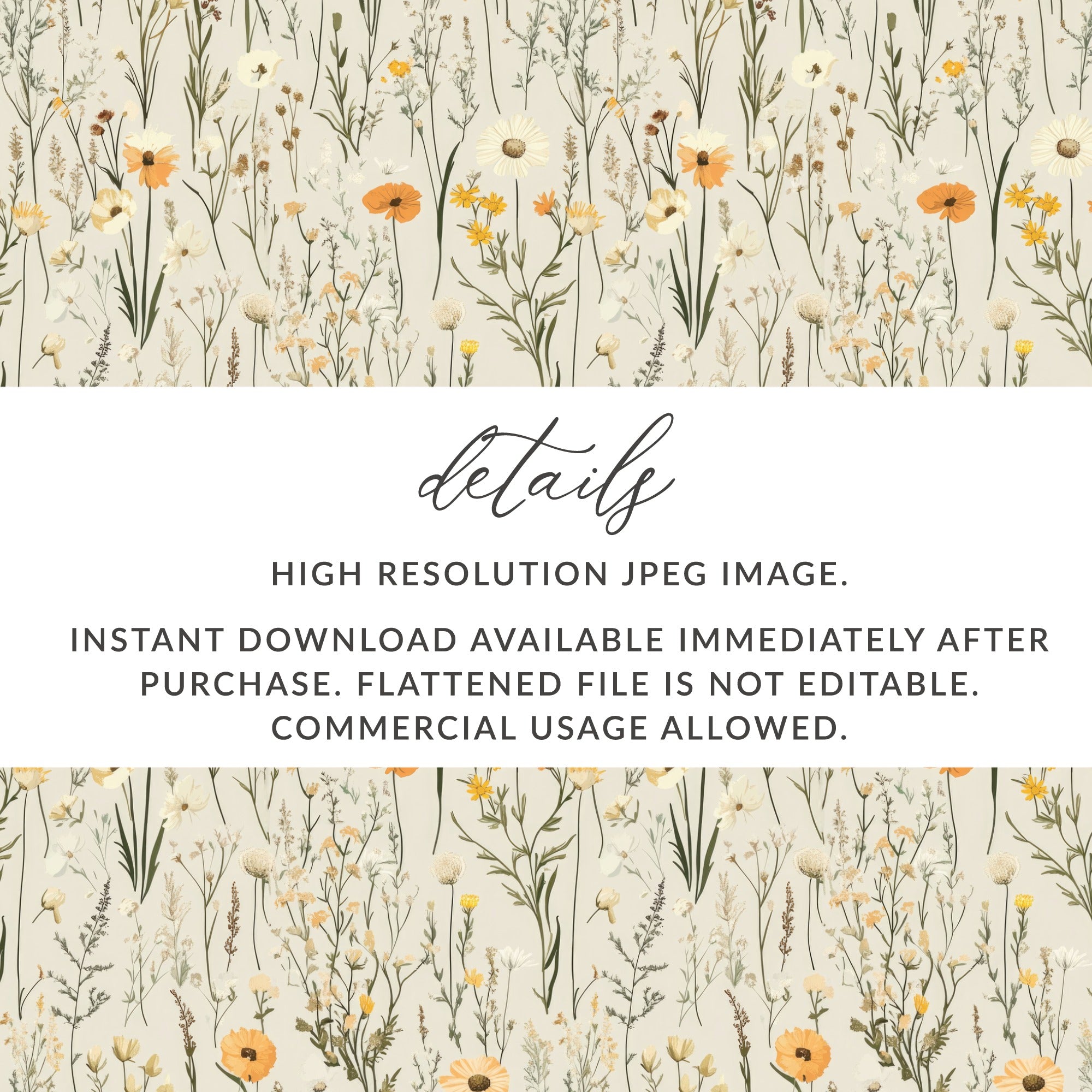 High Resolution Instant Download Wildflower Image