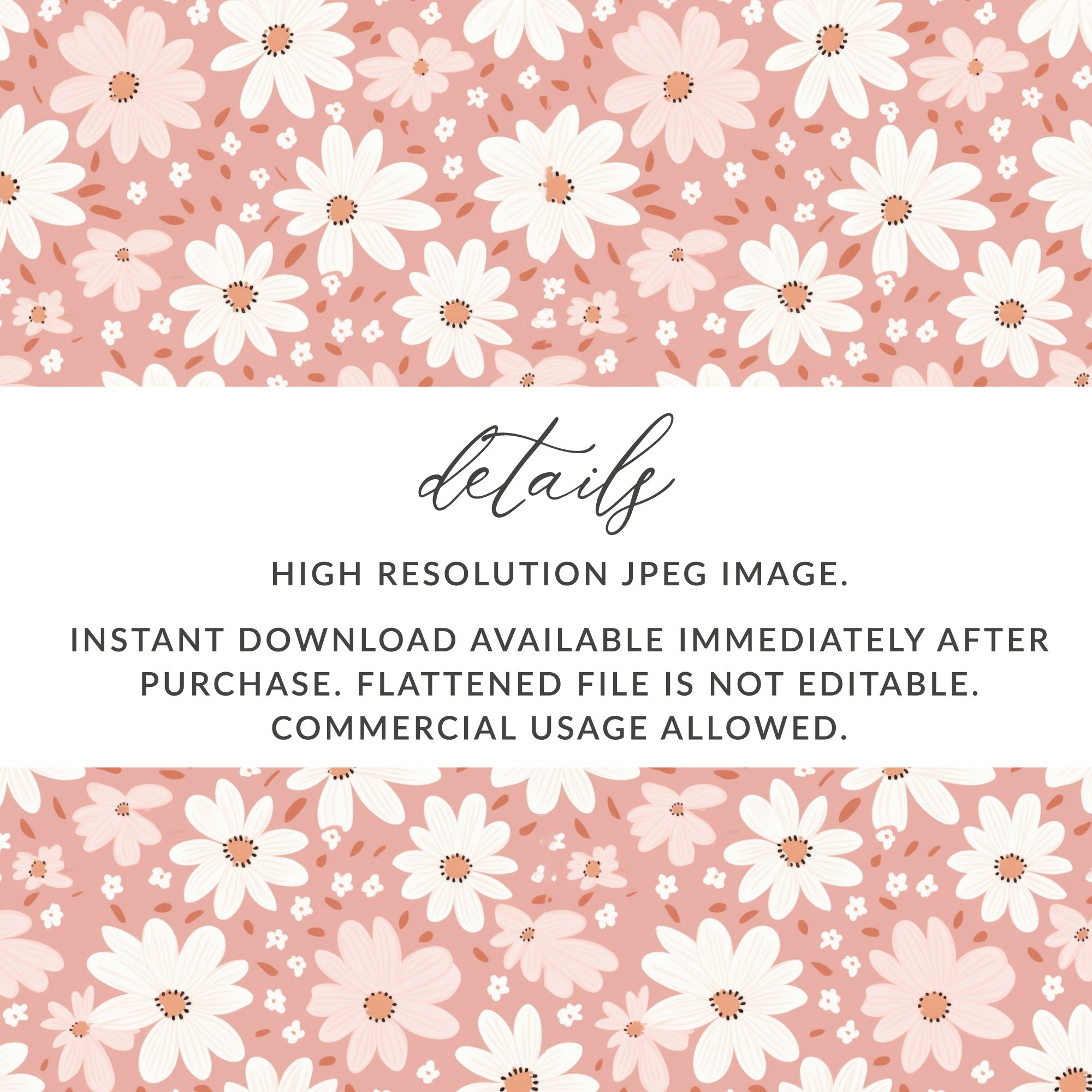 Pink and White Daisy Floral Pattern High Resolution Download