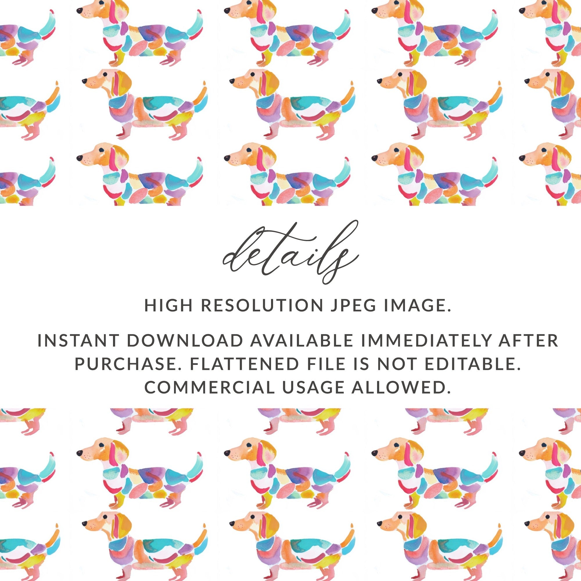 Dachshund Dog Pattern with Colorful Design Digital - Moore and Mountain
