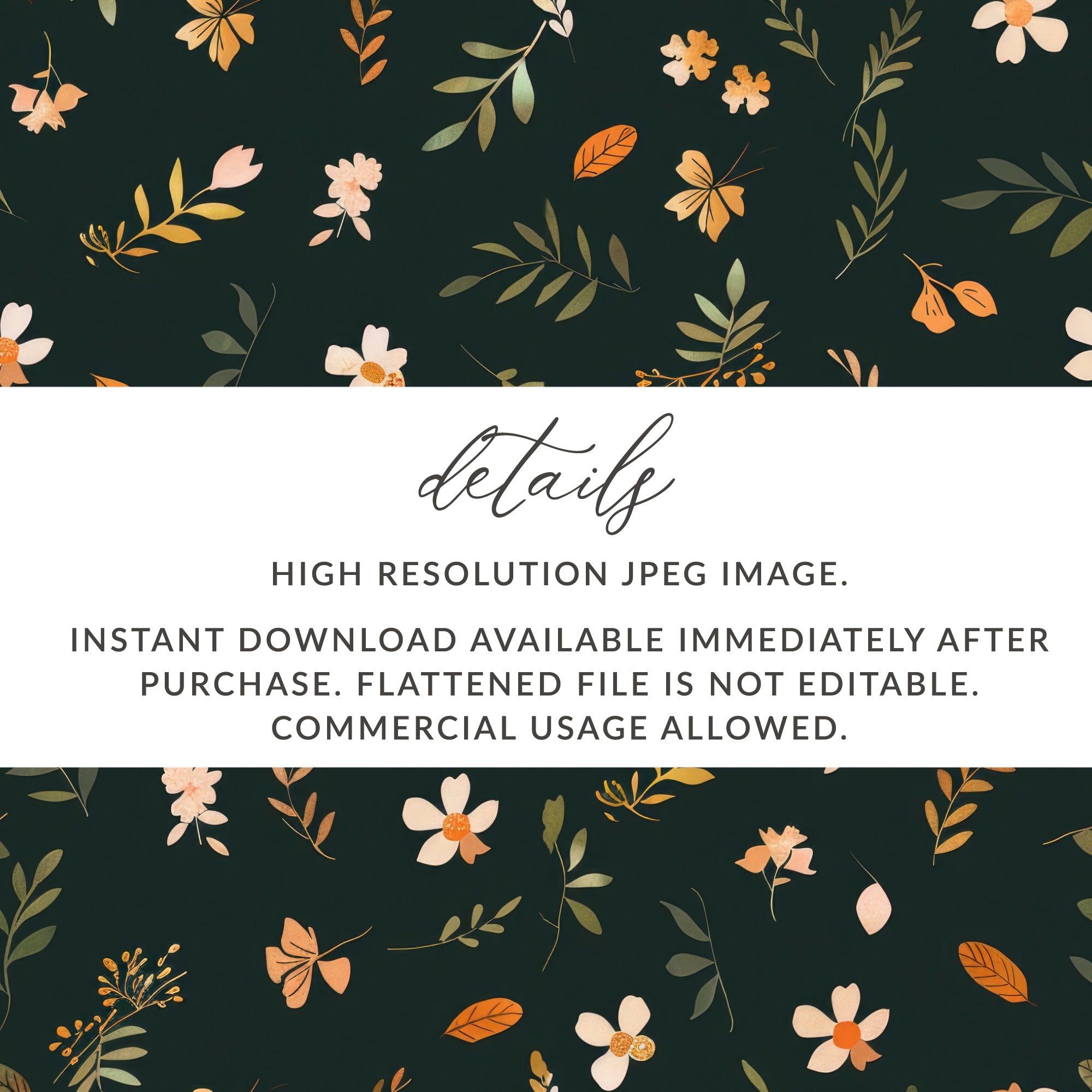 Instant Download High Resolution JPEG Image for Purchase