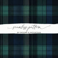 Elegant Blue And Green Plaid Scottish Tartan Background - Moore and Mountain