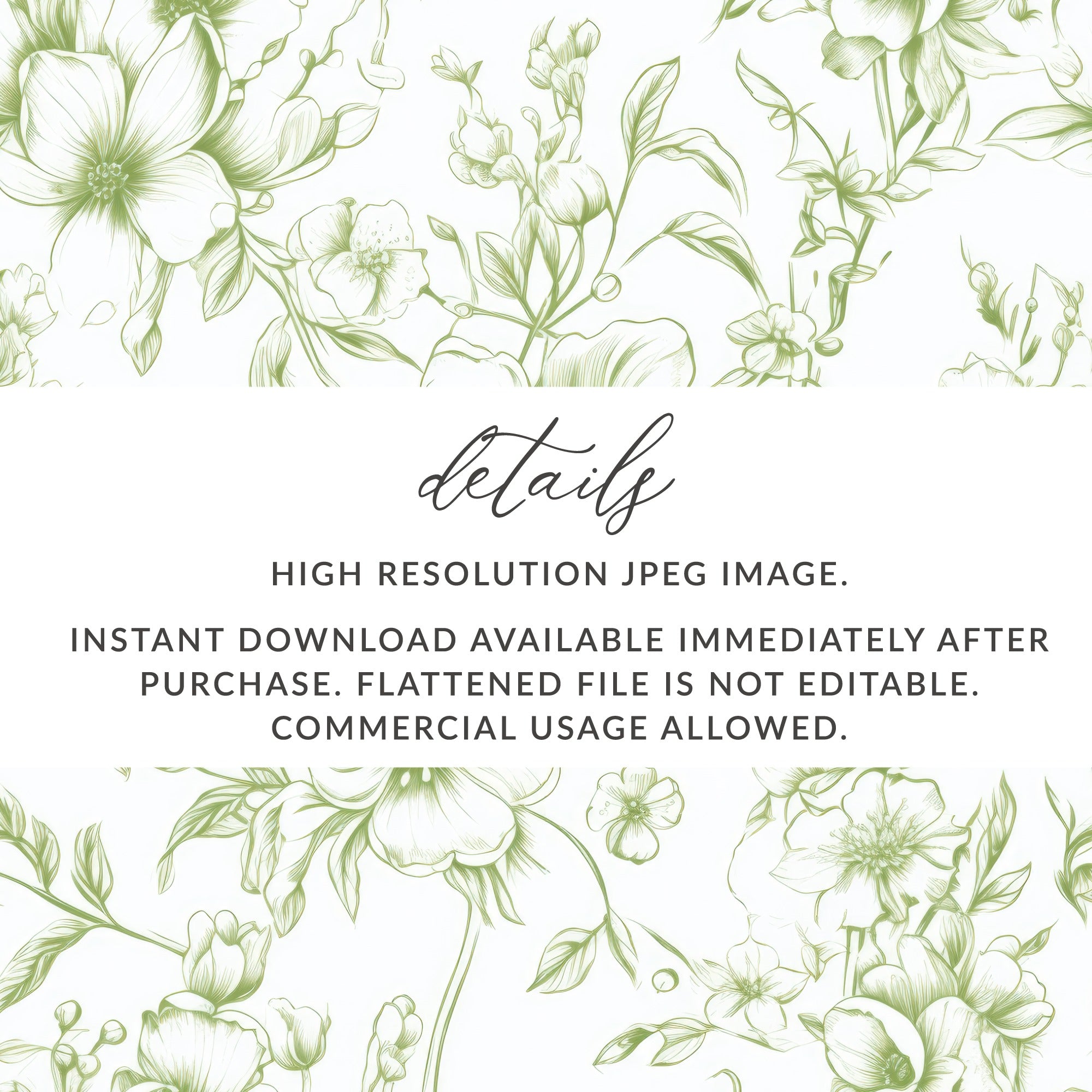 High Resolution JPEG Image Instant Download for Use
