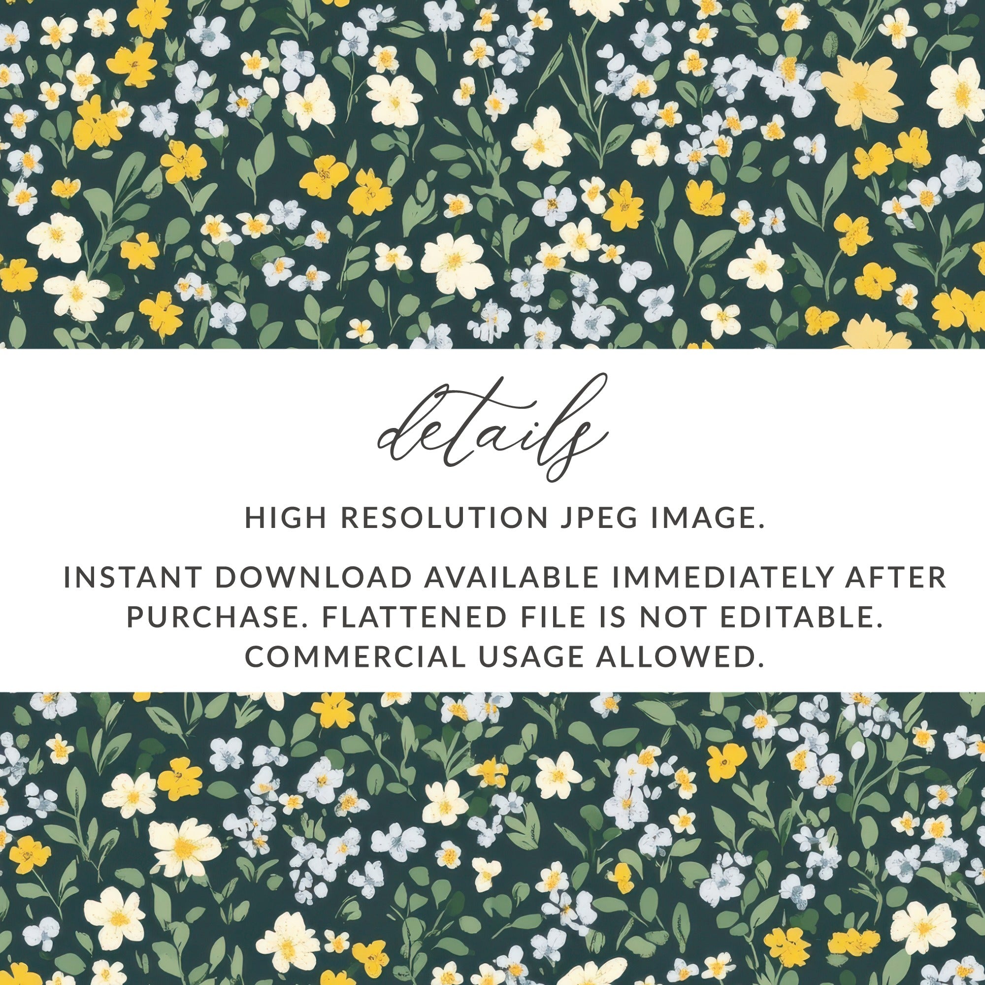 Instant Download High Resolution JPEG Image