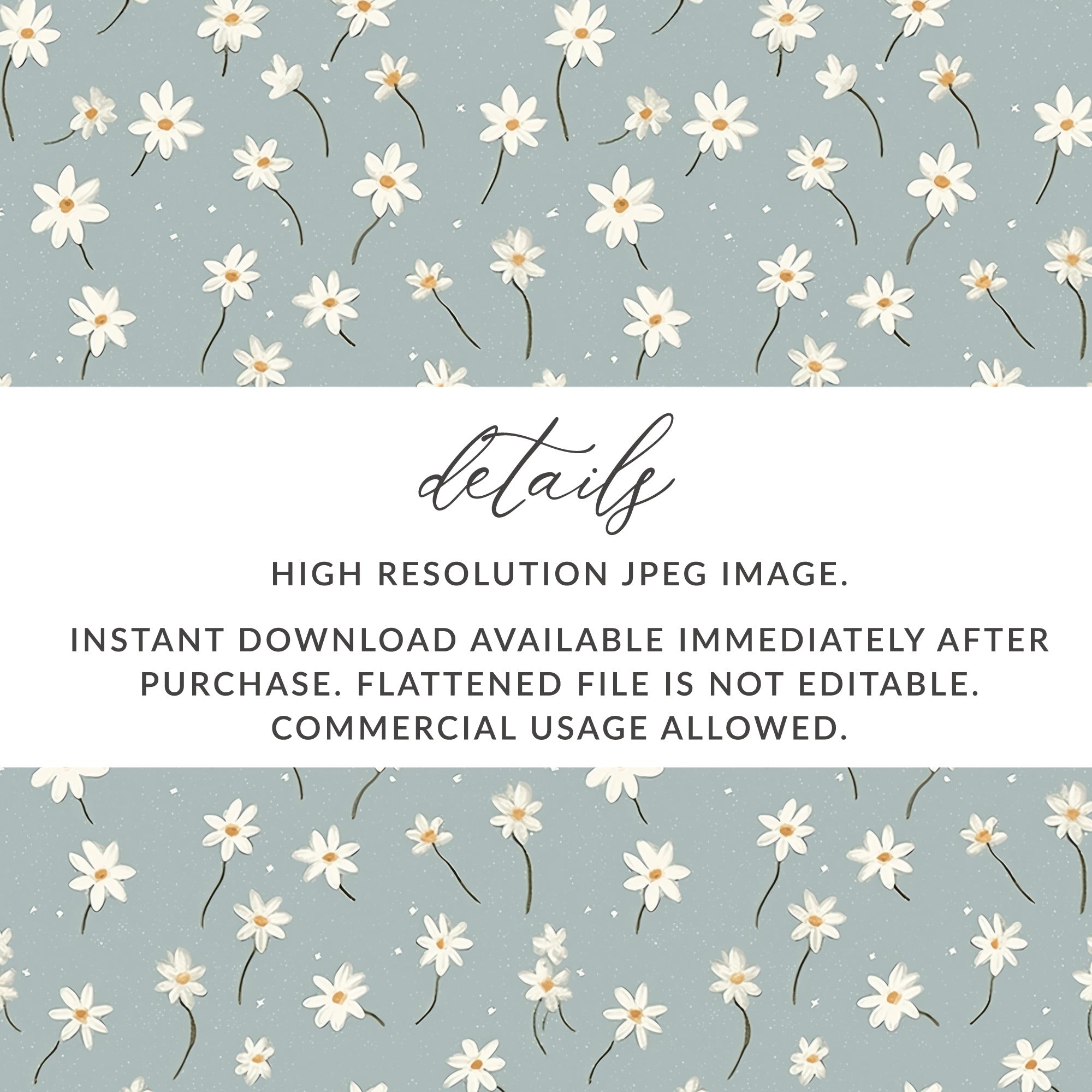High Resolution Daisy Floral Pattern Digital Download