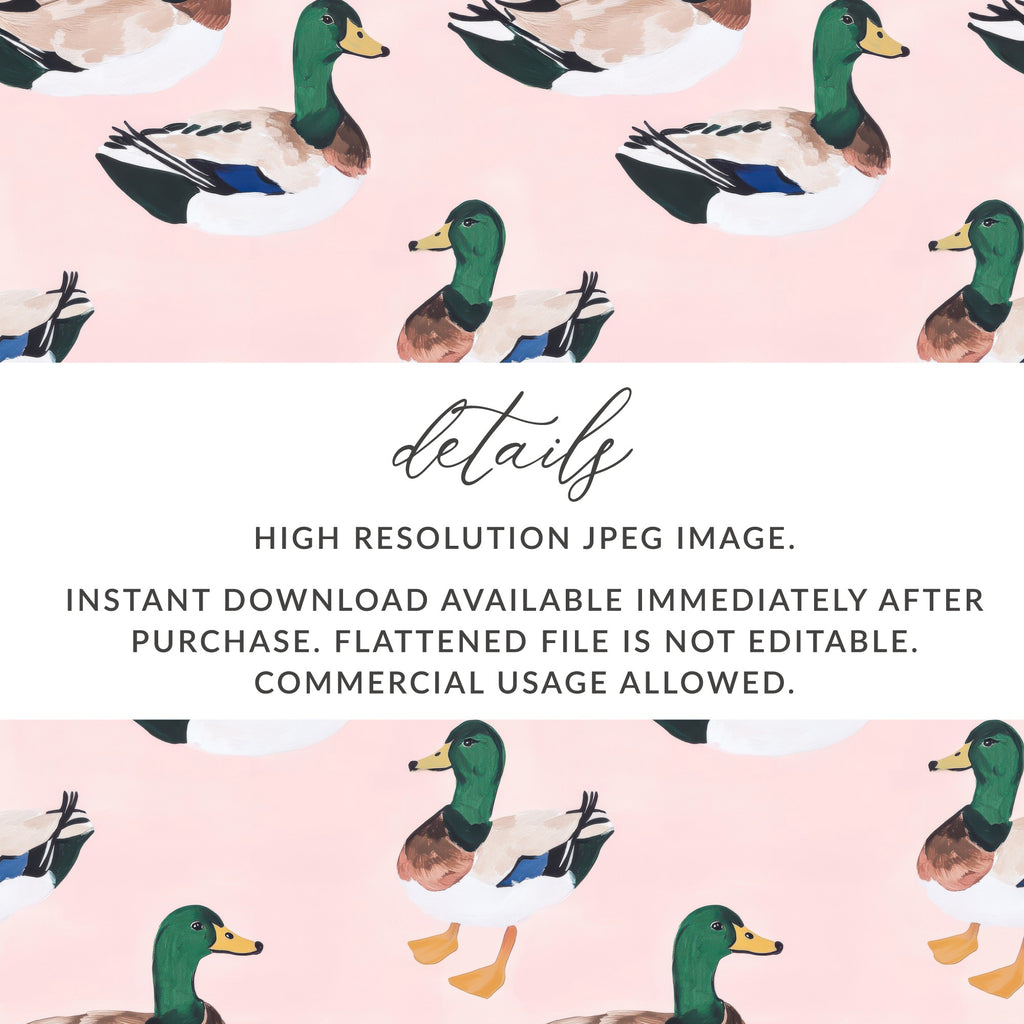 High Resolution Duck Image Instant Download File