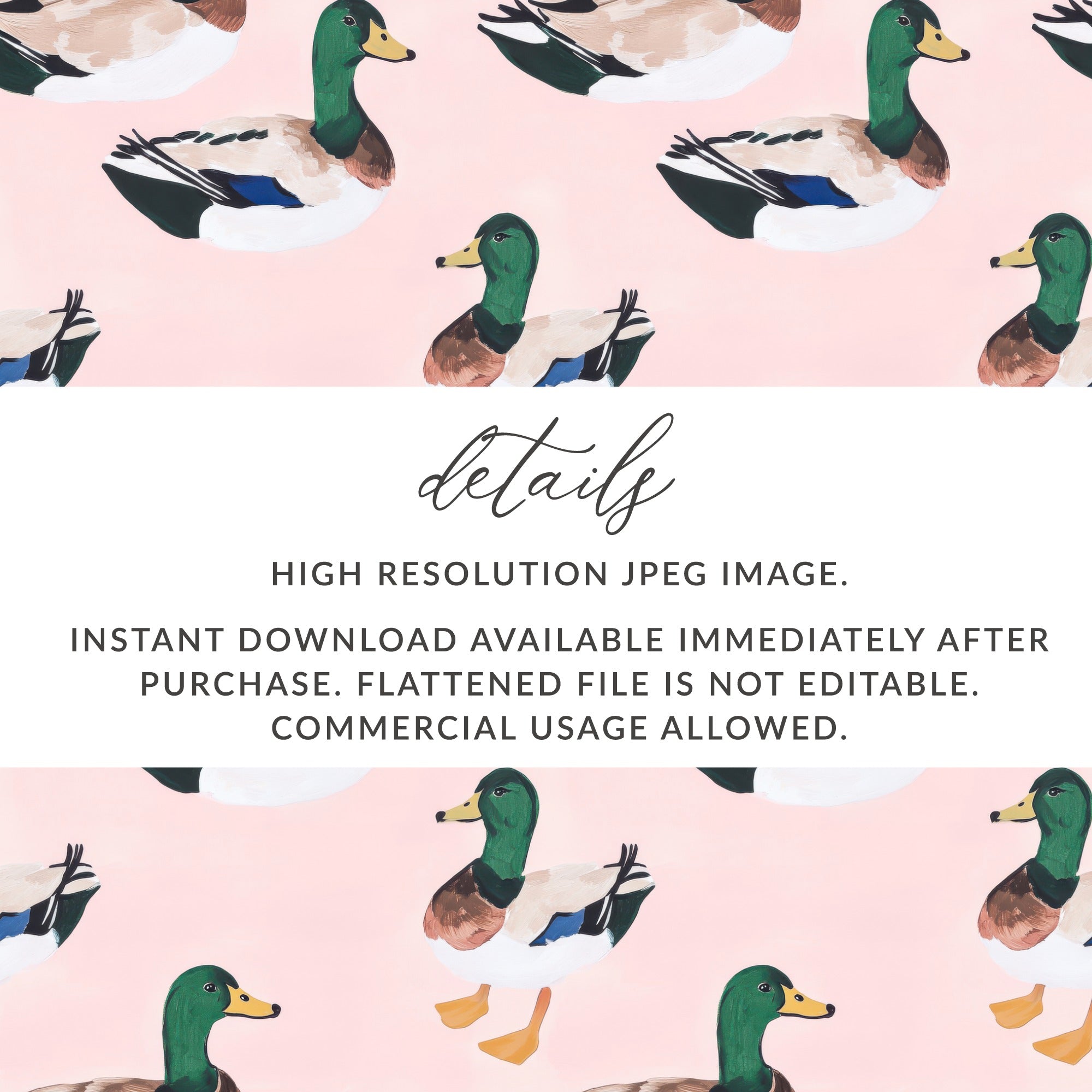 High Resolution Duck Image Instant Download File