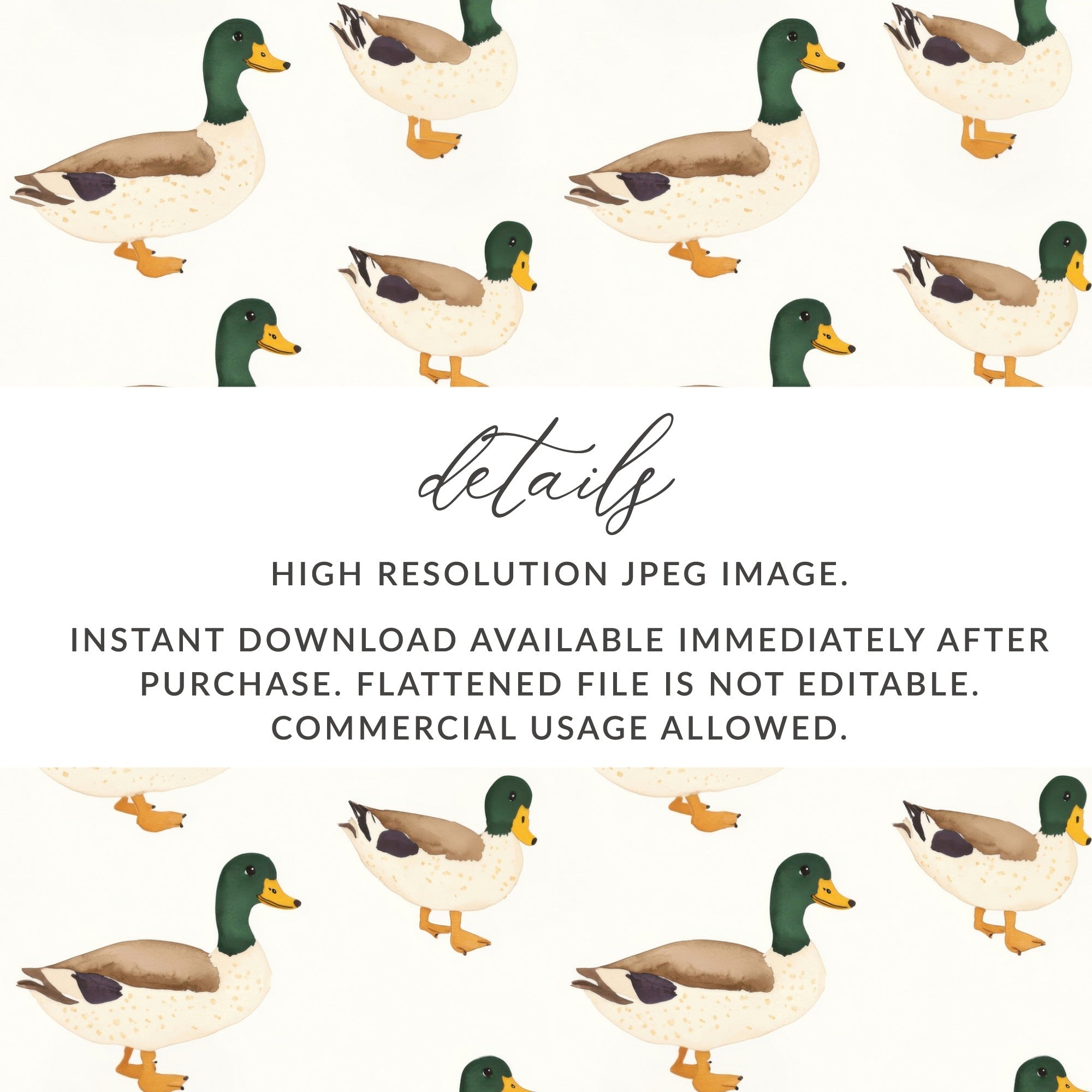 Mallard Duck Seamless Pattern, Charming Duck Pattern Artistic Design Seamless Repeat Digital - Moore and Mountain