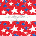 Red White and Blue Star Pattern by Moore & Mountain