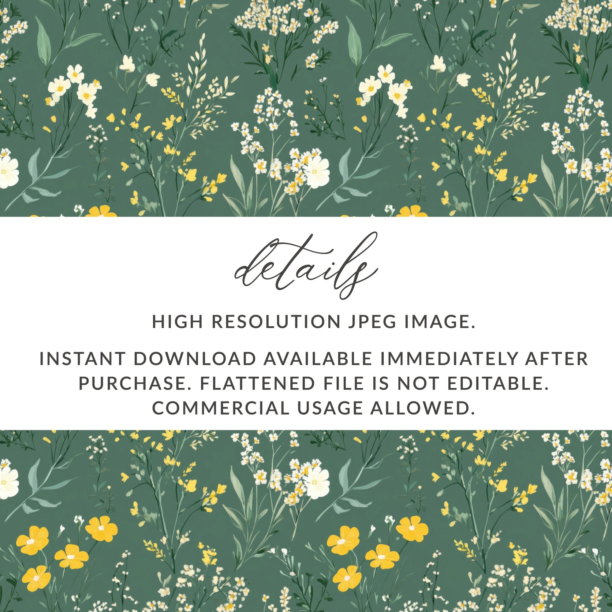 Beautiful Floral High Resolution JPEG Image Download