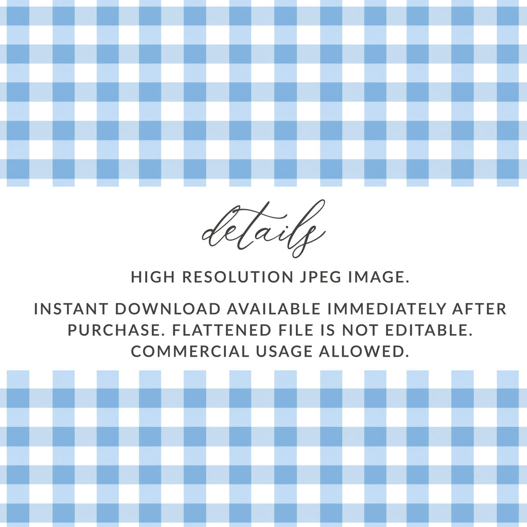 Blue Gingham Check High Resolution JPEG Image Download
