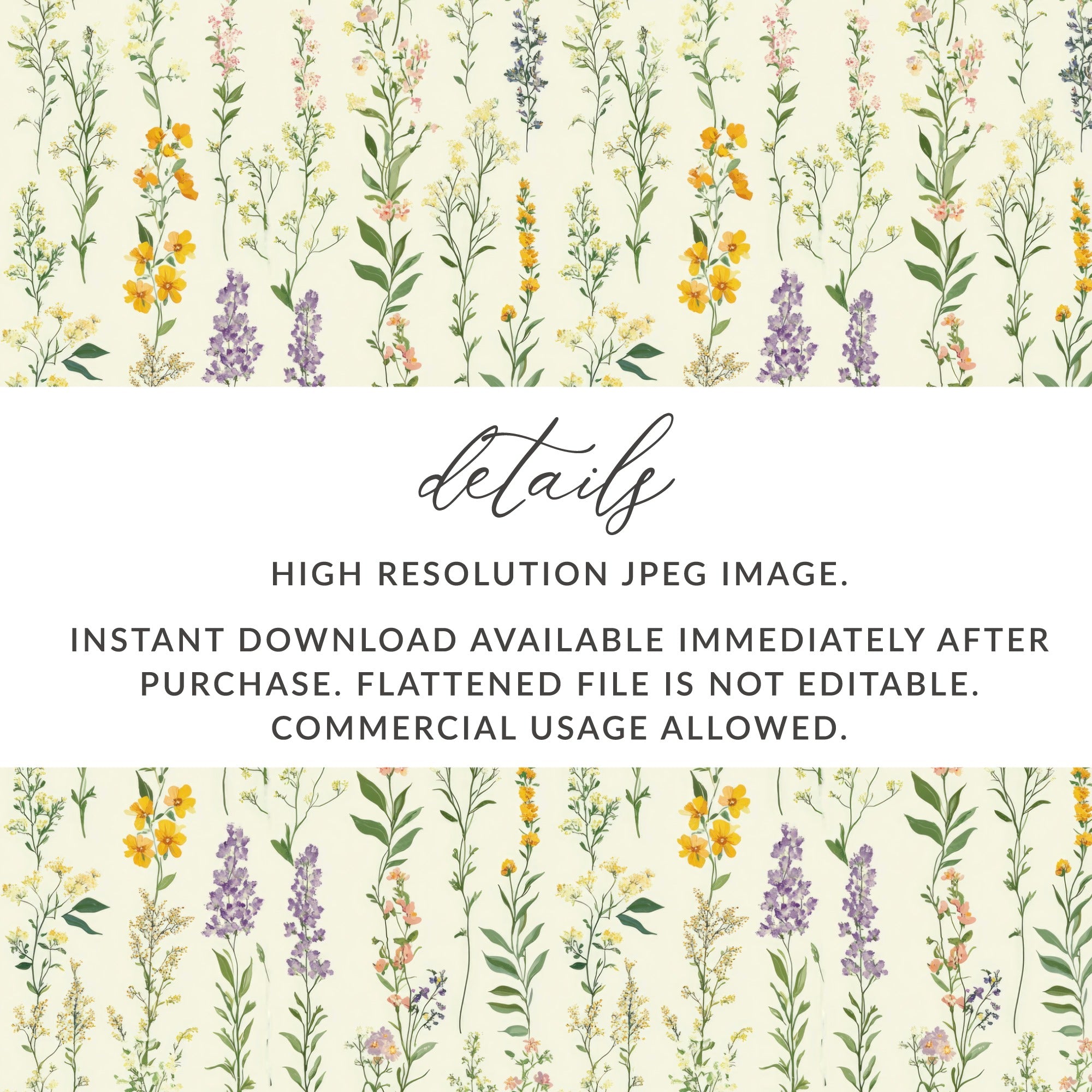 Instant Download High Resolution JPEG Image
