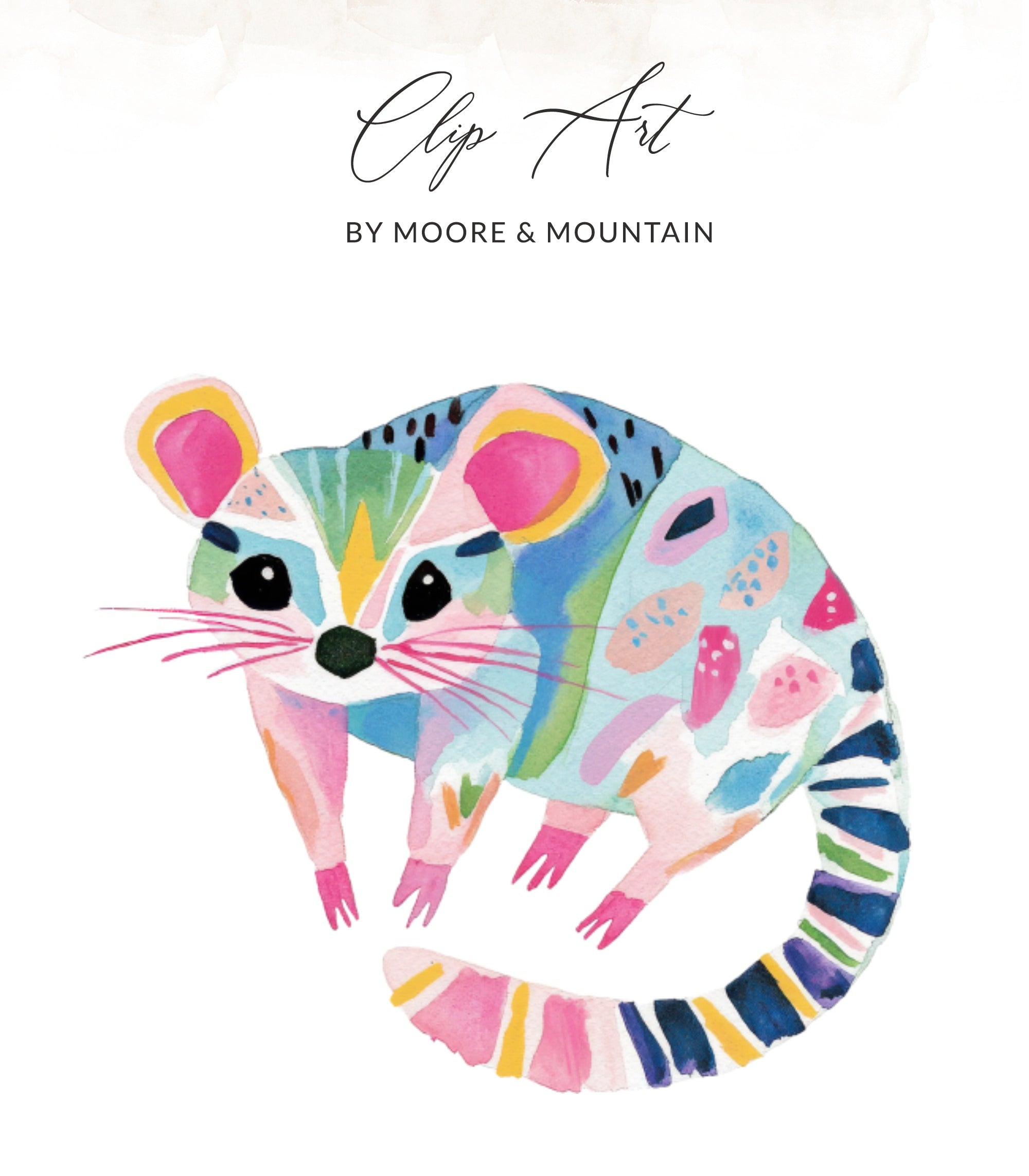 Colorful watercolor raccoon illustration with "Clip Art" and "BY MOORE & MOUNTAIN" text.