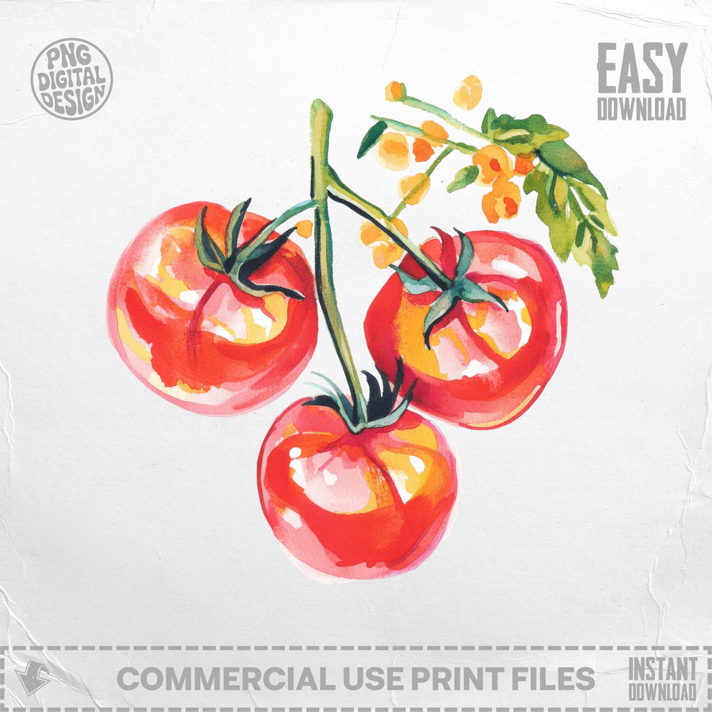 Watercolor illustration of three ripe red tomatoes on a vine with green leaves.