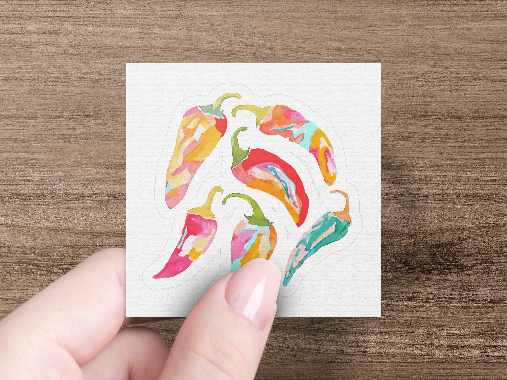 Six colorful watercolor chili peppers arranged on a white sticker.