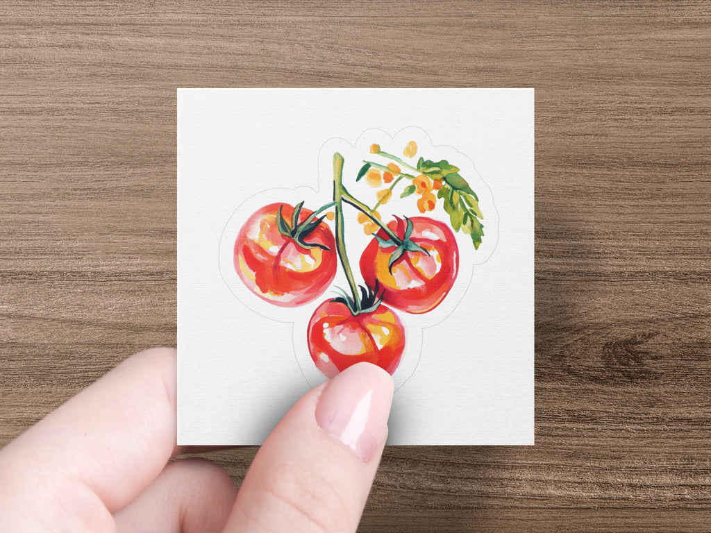 Three ripe red tomatoes on a vine with green leaves.