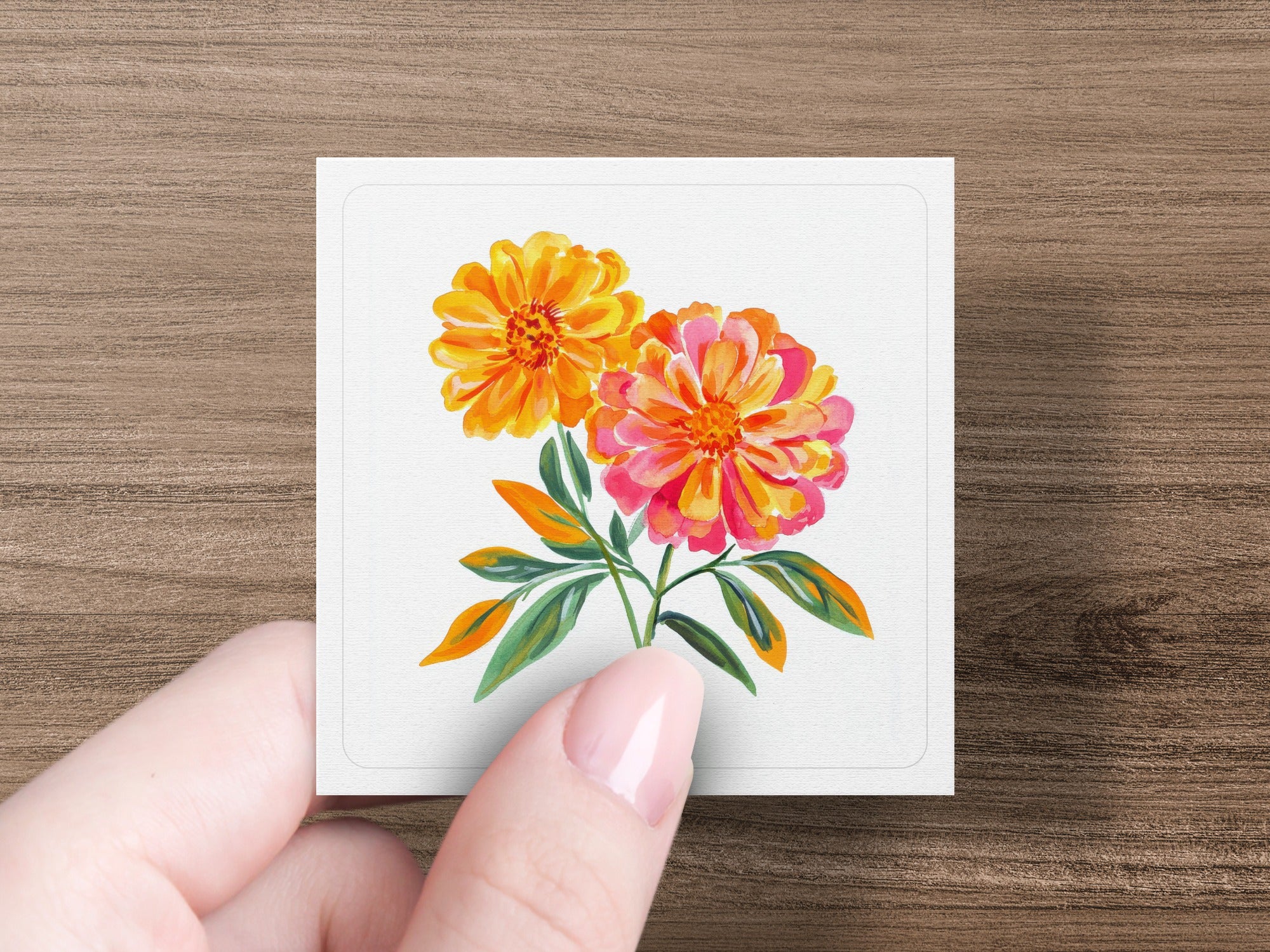 Two vibrant watercolor marigolds in orange and pink on a white card held by a hand.