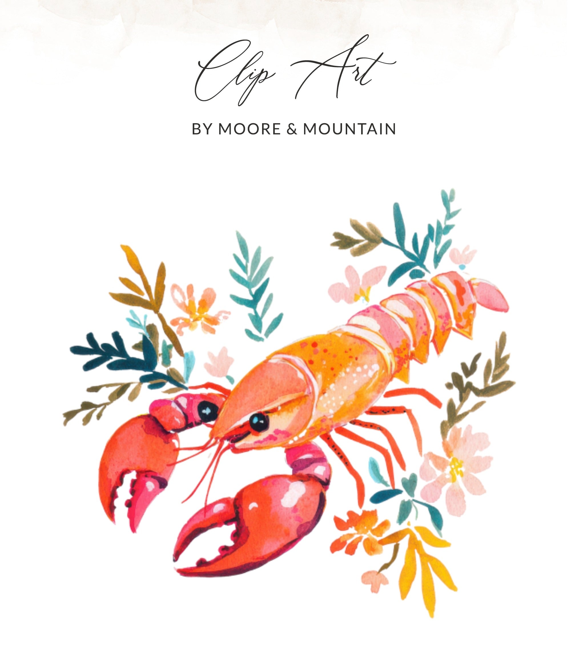 Watercolor lobster with floral and leaf accents, text "Clip Art by Moore & Mountain".