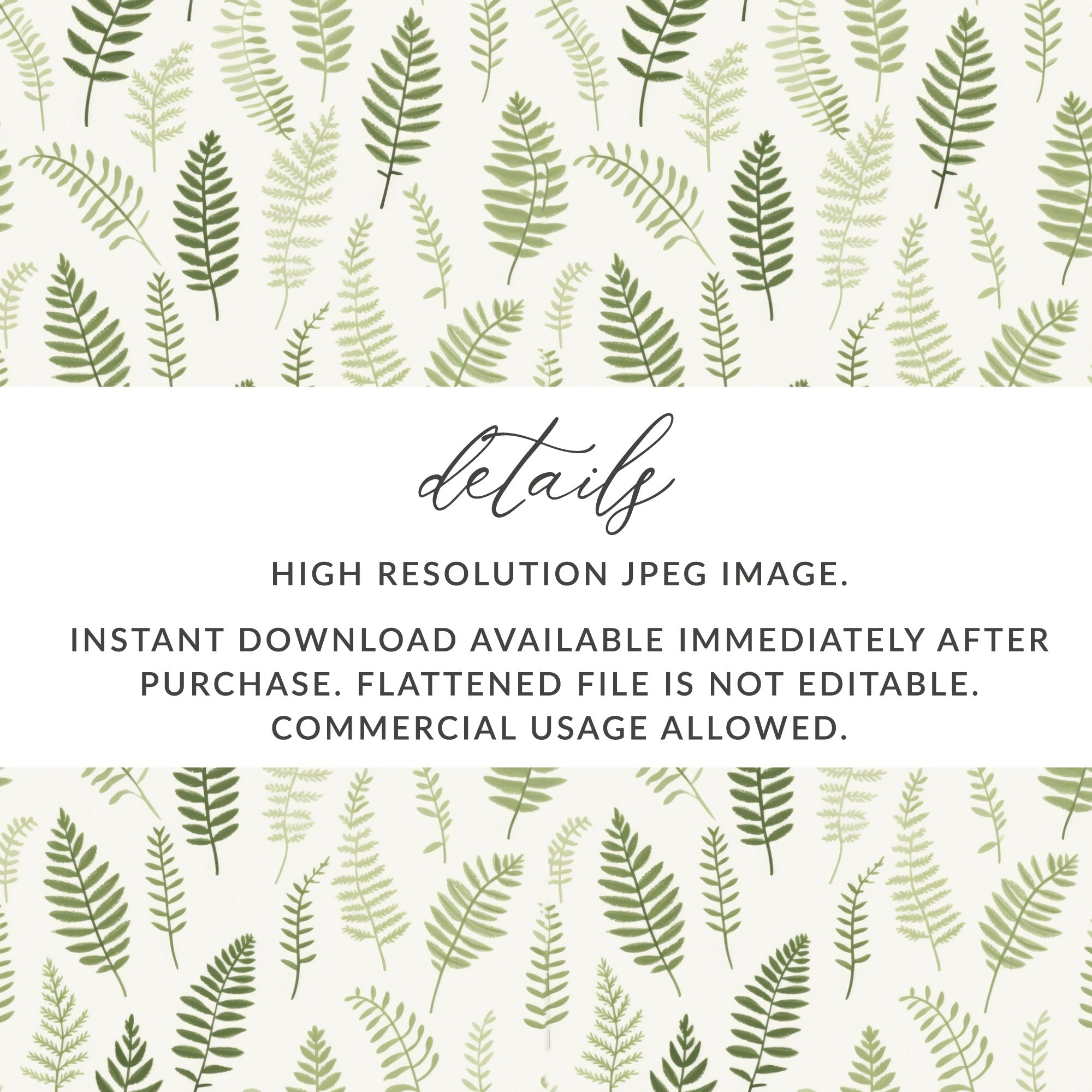 High Resolution JPEG Fern Leaves Instant Download Image