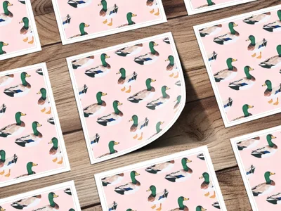 Colorful Duck Themed Decorative Sticker Sheet