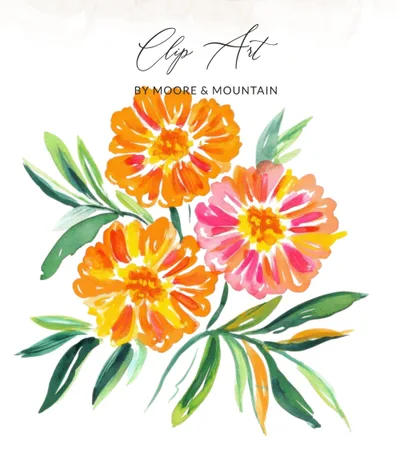 Marigold SVG PNG Digital Download, Orange Floral Clip Art, Orange Flowers PNG, Zinnia Clip Art, Painterly Floral