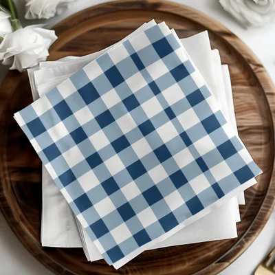Blue and White Checkered Pattern Napkins Set