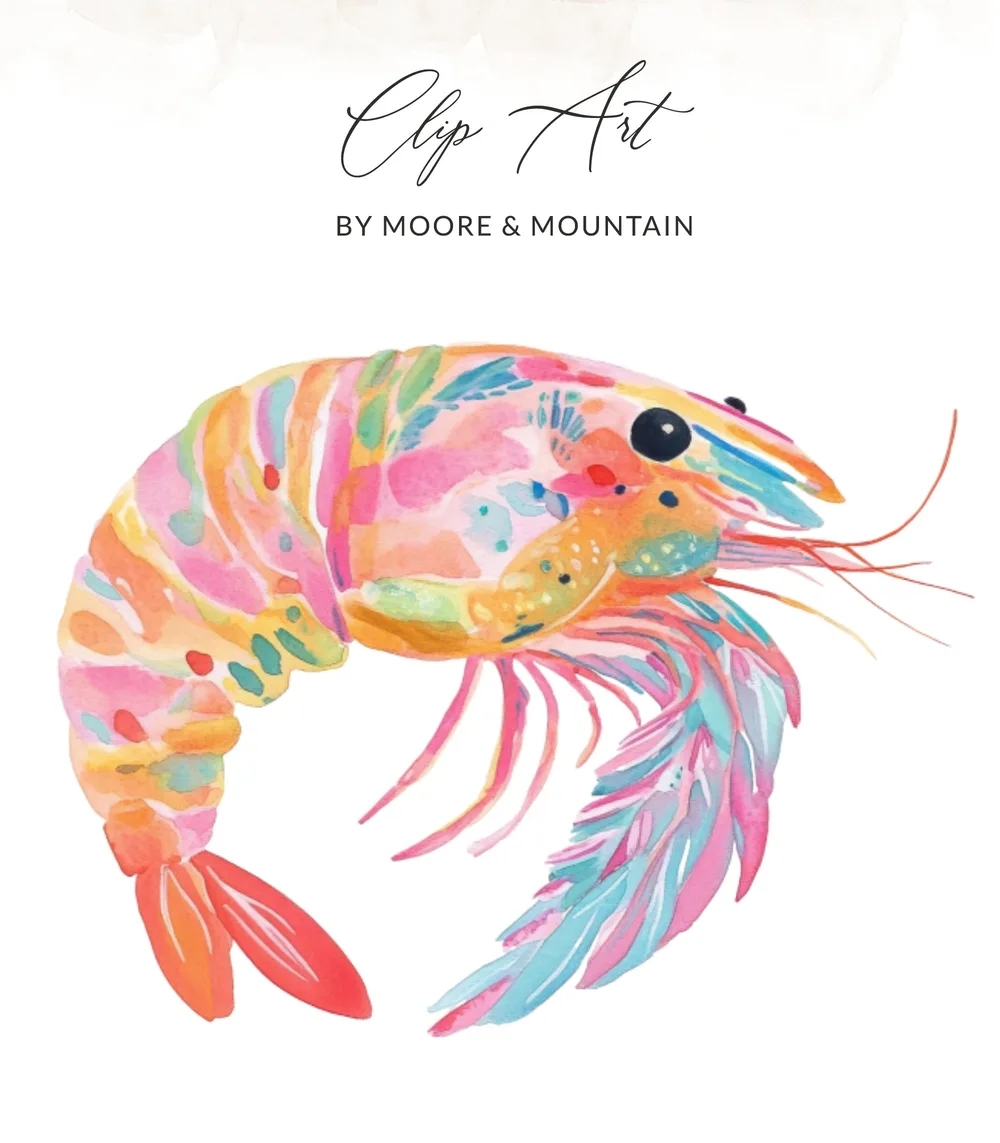 Colorful watercolor shrimp illustration with "Clip Art" and "BY MOORE & MOUNTAIN" text.