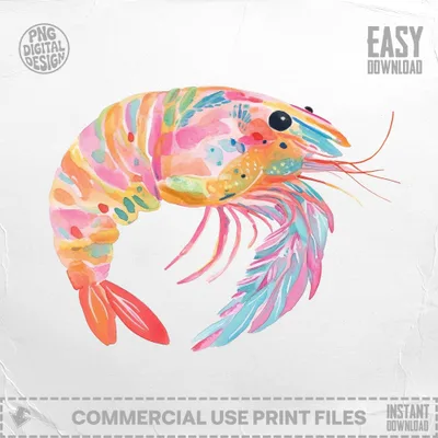 Watercolor illustration of a colorful shrimp with "PNG Digital Design" and "Easy Download" text.