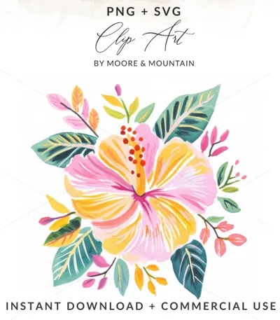 Pink and yellow hibiscus flower illustration with green leaves.