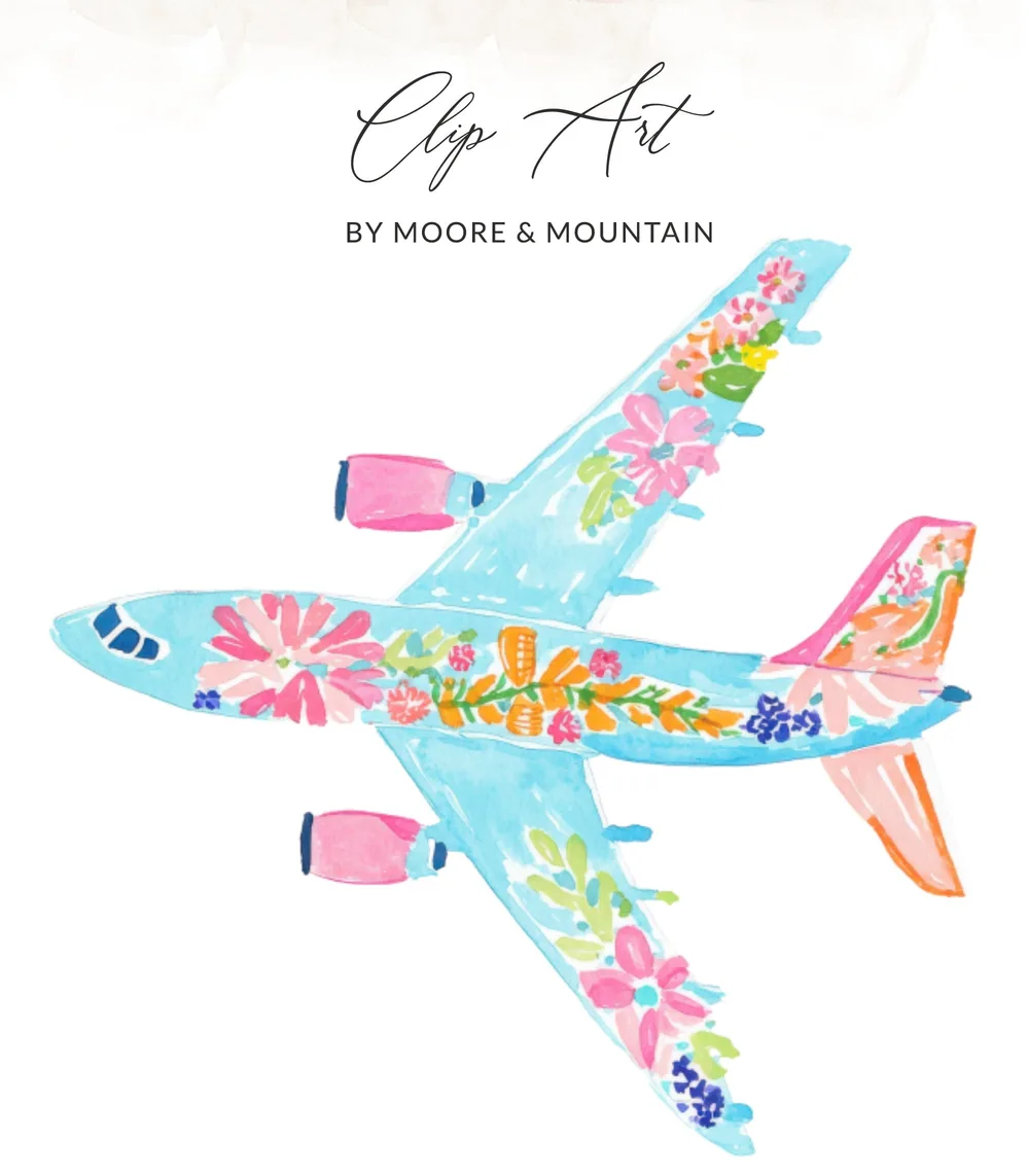 Blue airplane adorned with colorful floral illustrations.