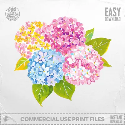 Pink, yellow, and blue hydrangeas with green leaves.
