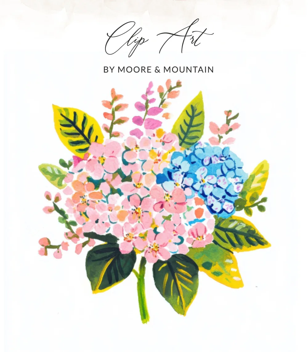 Pink and blue hydrangeas with green leaves and text "Clip Art BY MOORE & MOUNTAIN".