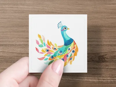 Watercolor peacock illustration with flowing tail feathers on a white card held by a hand.