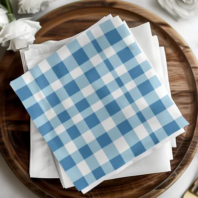 Blue and White Checkered Napkin Set for Sale