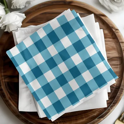 Blue and White Checkered Pattern Napkin Set